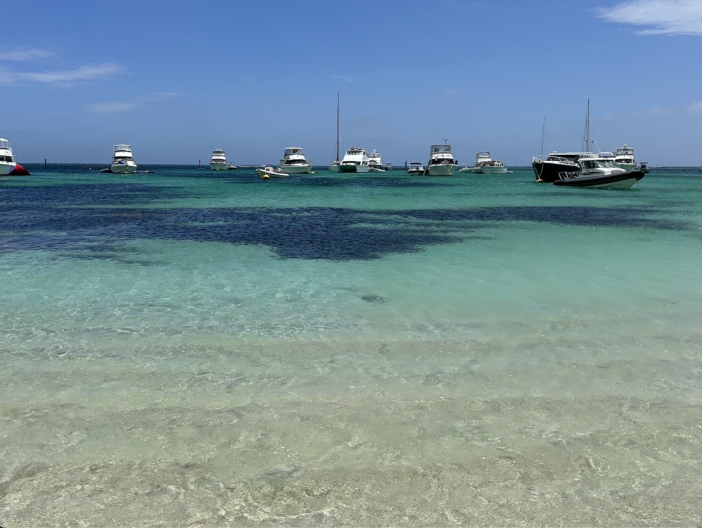 rottnest island