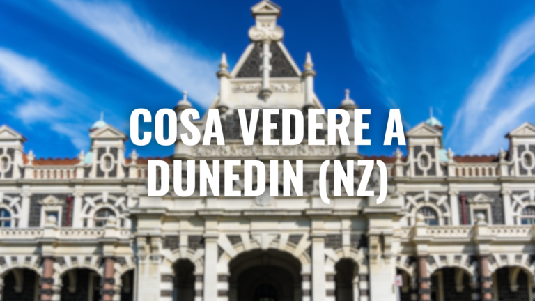 cosa vedere a dunedin