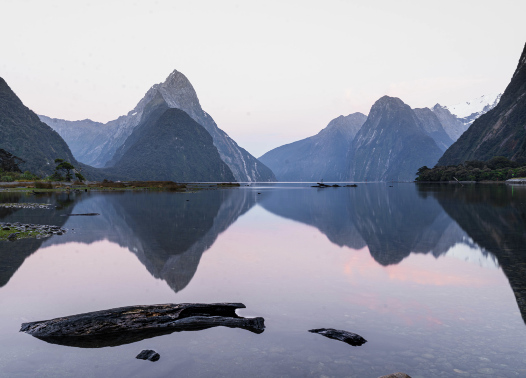 what to see in queenstown: milford sound