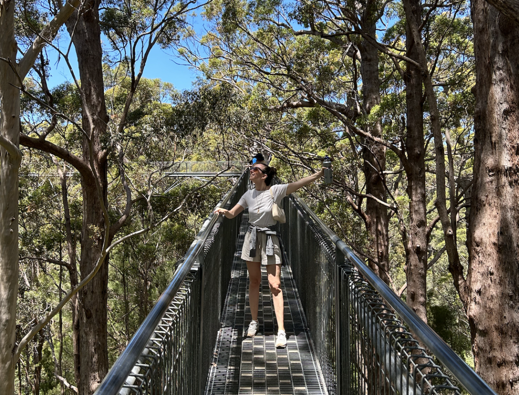 western australia cosa vedere tree top walk